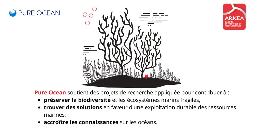 #mécénat Nos filiales Arkéa Banque €&amp;I, Arkéa Capital et Arkéa Crédit Bail ont signé une convention de mécénat avec <a href="/PureOceanFund/">Pure Ocean</a>. Cette ONG soutient notamment des projets innovants afin de mieux comprendre et protéger la biodiversité marine.
