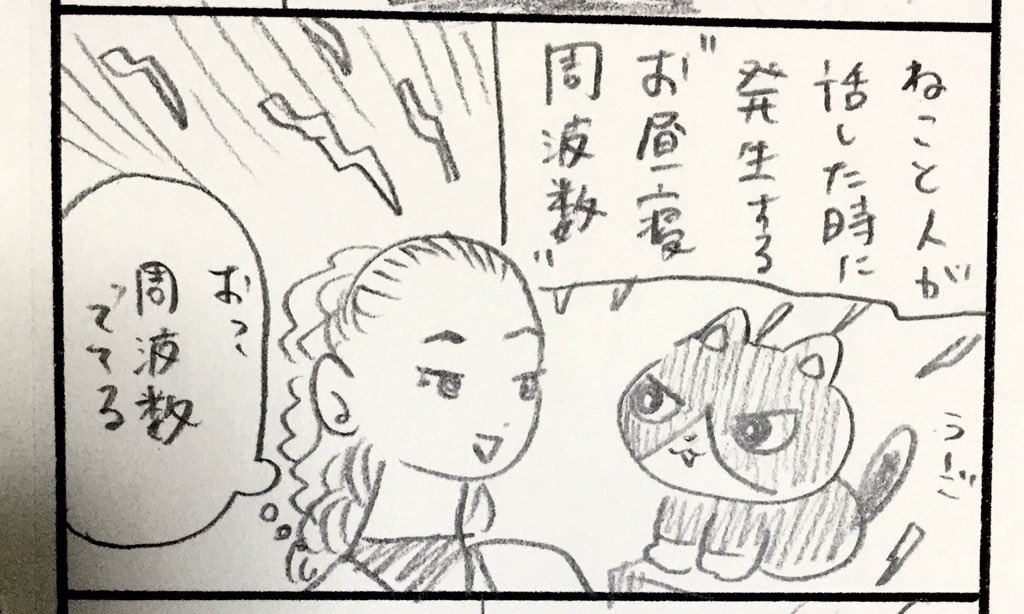 ねこと健康 