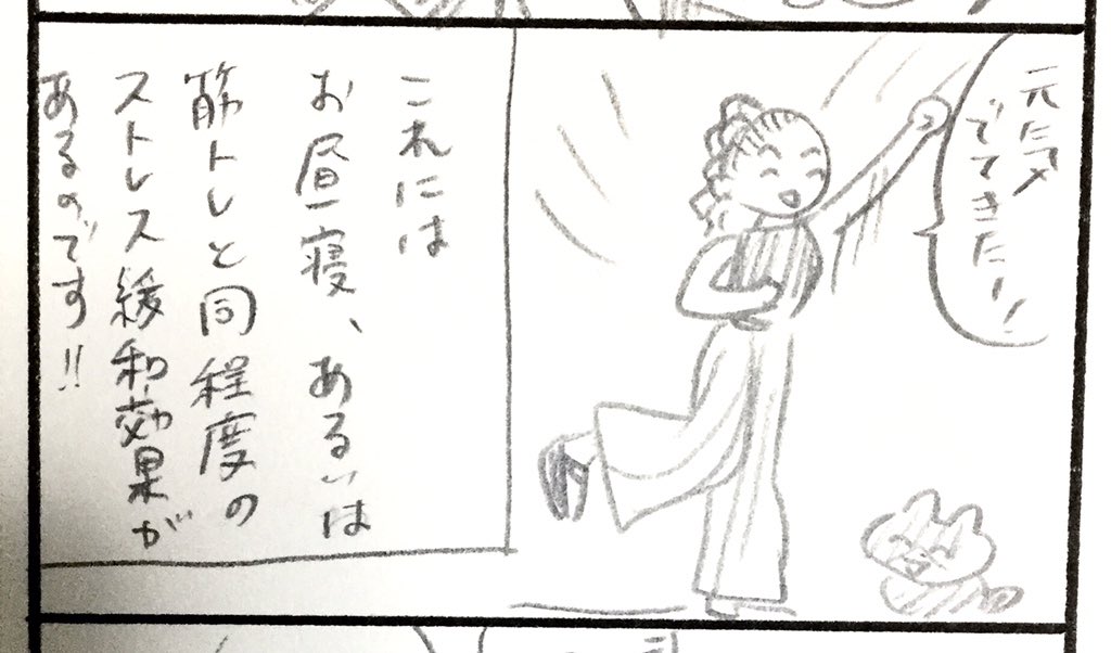 ねこと健康 