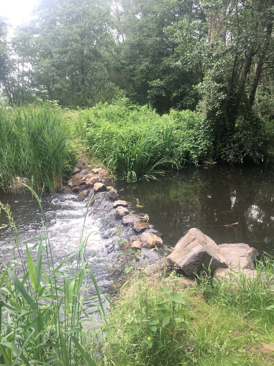 Day 3/7 of #mylifeinpictures. Rules: no words, no people. I will nominate nobody, feel free to join in. I was nominated by 
<a href="/RobertBood/">Robert Bood</a>