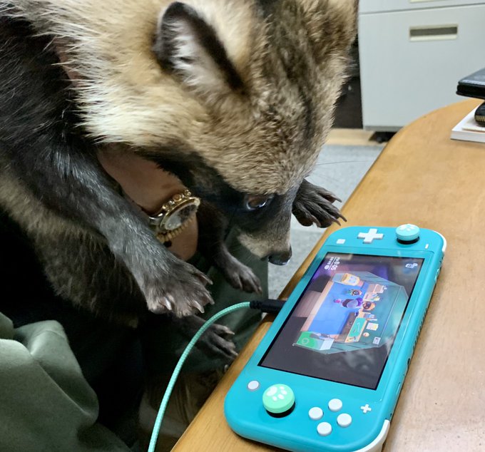ことりさん の最近のツイート 15 Whotwi グラフィカルtwitter分析