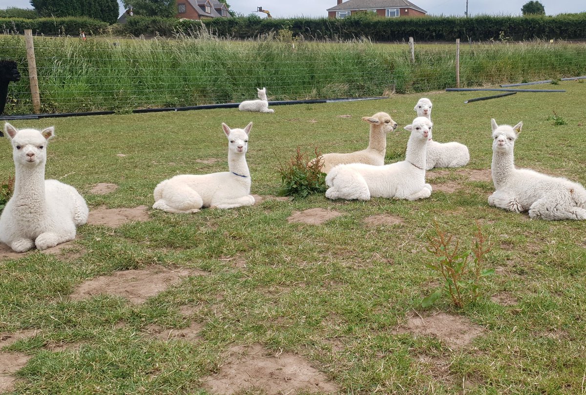 Good turnout for the cuties anonymous meeting this morning😍