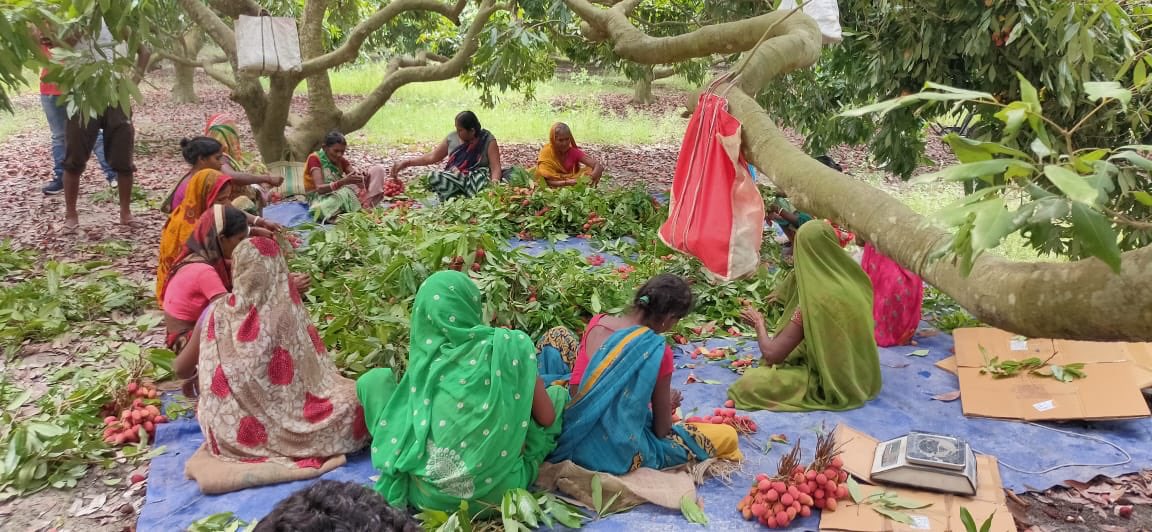 rsprasad's tweet photo. To help farmers sell their produce during #COVID19 CSC has started a pilot on digital platform to connect farmers, buyers &amp; logistics service providers, developed by a startup @agri10x.  
This initiative will help in realising the vision of PM @NarendraModi for empowering farmers https://t.co/VObDamkGIP