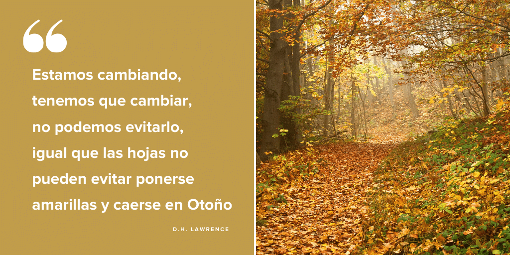 conscienteinf's tweet photo. ¿No tenéis la sensación de que se están produciendo CAMBIOS en nuestras vidas que nos marcarán para siempre? 
#conscienteinfinito #cambio # https://t.co/etQtKTwVCi