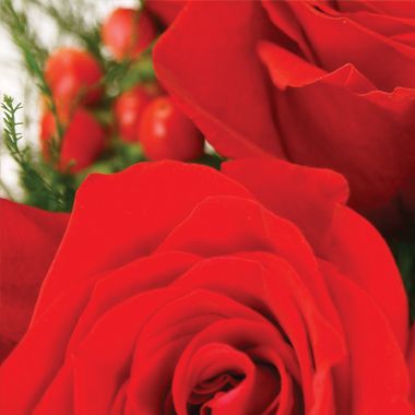 Roses_SJ's tweet photo. 🌹🌹🌹🌹🌹🌹 Ram de 6 Roses vermelles a Domicili: 32,99 € Enviament Gratis en 24h.
Confia en la qualitat de Roses Sant Jordi, ara amb lliurament a domicili de rams Premium.
Digues-ho amb flors https://t.co/TPivyvSCz8 #Artfloral #FlorsOnline #regall" https://t.co/TOmynq935H