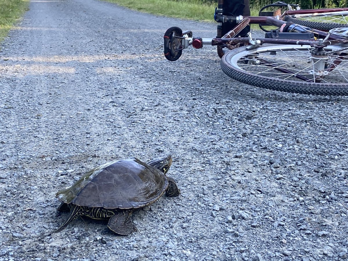 MikeRussellCIE's tweet photo. Always nice to find a riding buddy. #SocialDistanceCycleClub #MaskUp https://t.co/JdGcior0UT