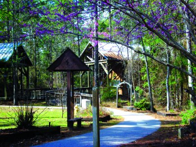 ParentAcadDCPS's tweet photo. Explore Jax | Whether it's for fun, exercise, or relaxation you're sure to enjoy these Jacksonville parks!
• Sunshine Park and Splash Pad
• Tillie K Fowler Park
• Losco Regional Park
#TeamDuval #ExploreJax #SummerSeries https://t.co/Eovx0hOVw7