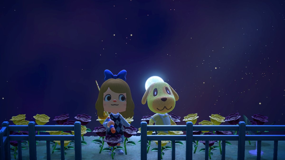 RainbowM0728's tweet photo. #动物森友会 #AnimalCrossing #ACNH #NintendoSwitch https://t.co/2zfbh4GdYp