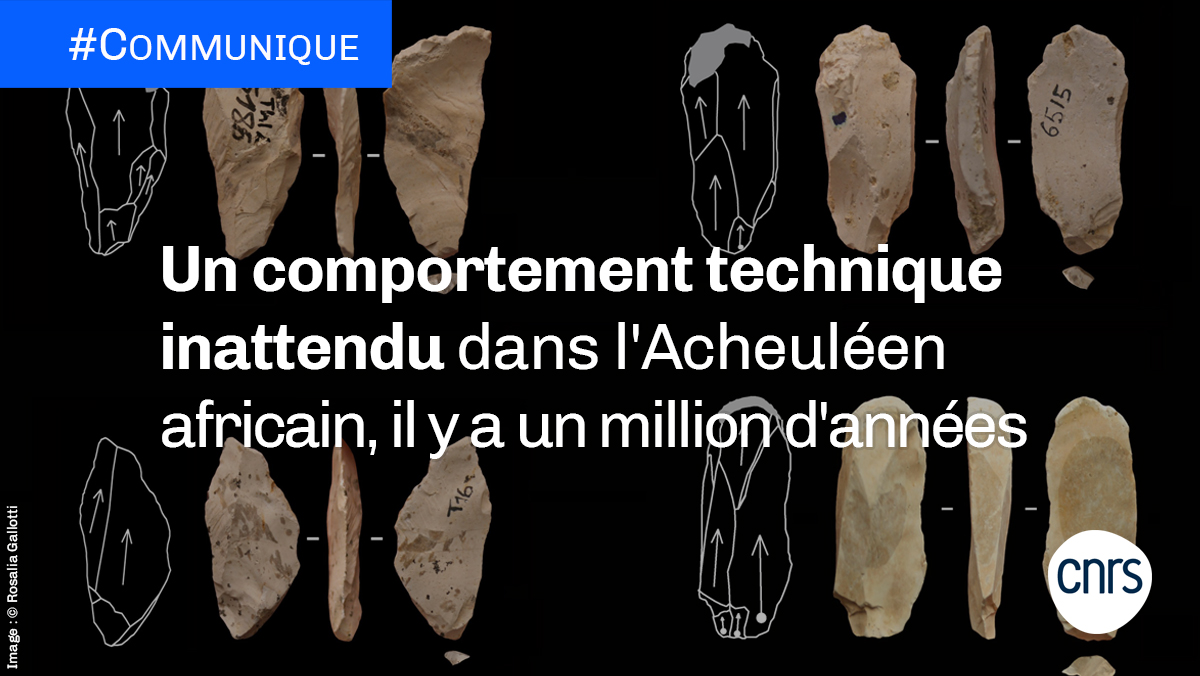CNRS's tweet photo. #Communiqué 🗞️ | Une équipe franco-marocaine, intégrant notamment des chercheurs et chercheuses @univpaulvalery @CNRS et #INSAP, vient de décrire un comportement technique jusqu'ici inconnu dans l’Acheuléen ancien africain.

➡️ https://t.co/P95MfOzgSu

📗 https://t.co/ulcYRQesSZ https://t.co/7NnvnfMUSr