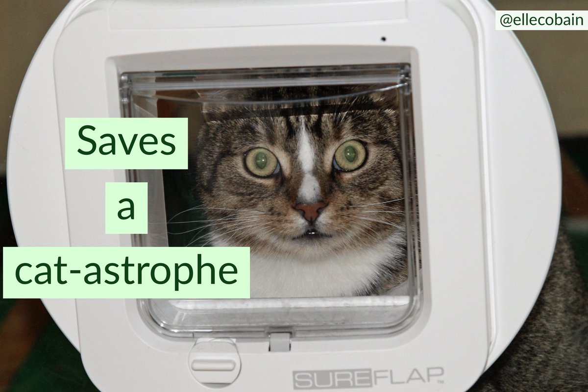 ellecobain's tweet photo. @OneMinuteBriefs #catflaps https://t.co/8U1H3u1wOL