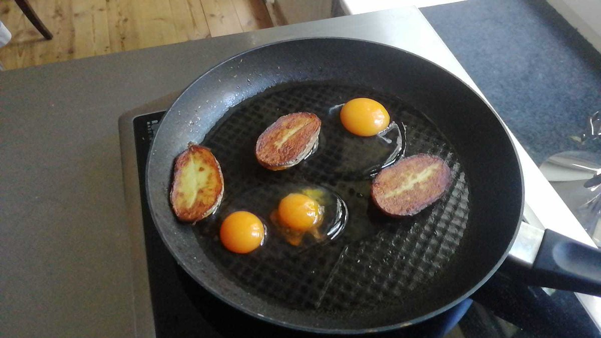 Dachsjaeger's tweet photo. One package of 10 eggs has so far had 4 twins in it this week. HOW?! https://t.co/qceYQCxSOi