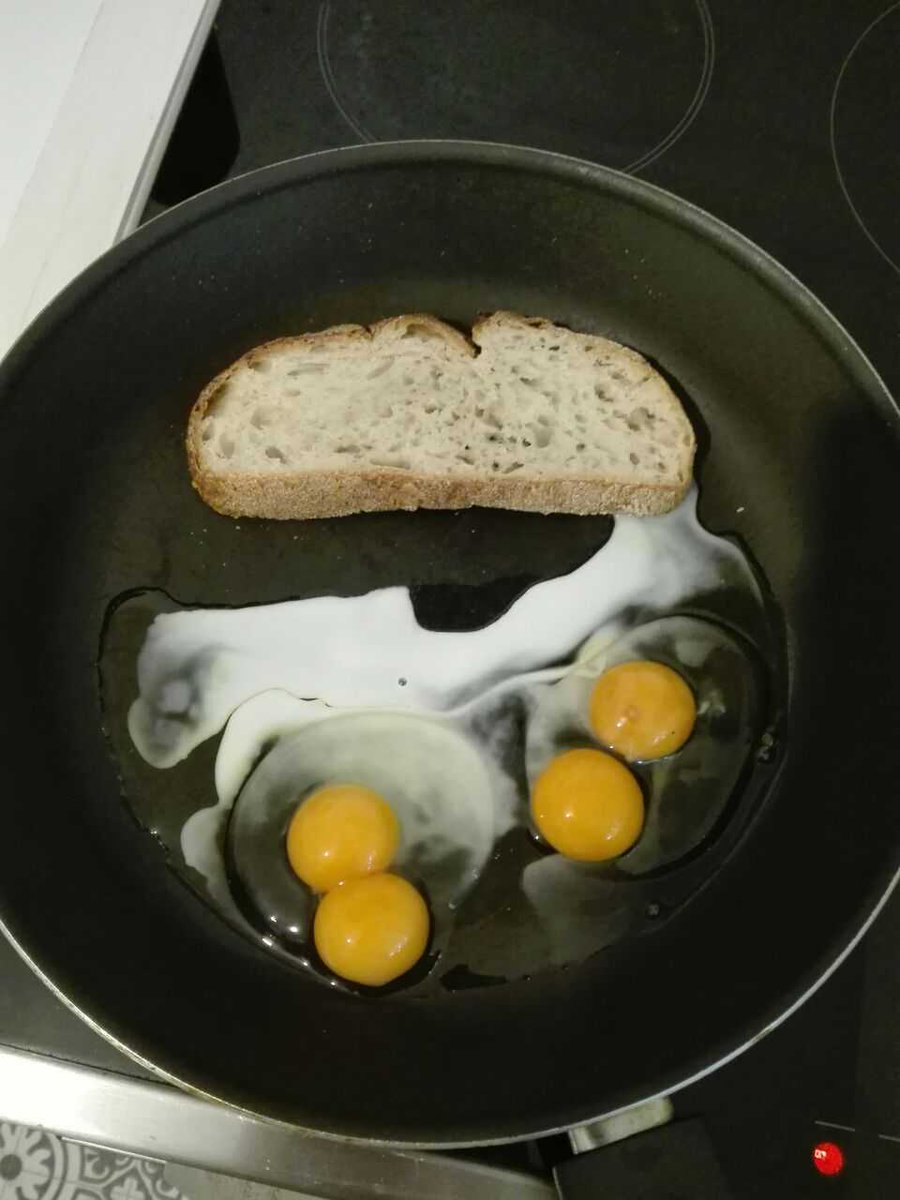 Dachsjaeger's tweet photo. One package of 10 eggs has so far had 4 twins in it this week. HOW?! https://t.co/qceYQCxSOi