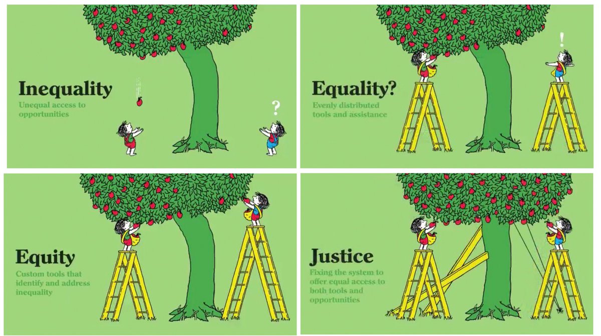 2ndPACC's tweet photo. We love this illustration by Tony Ruth @lunchbreath.
We are all now on the path of transforming society from the current status of inequality to one of justice.

As the late great Maya Angelou said;
’When you know better, you do better’

What part will you play? https://t.co/hsfSjwKbns