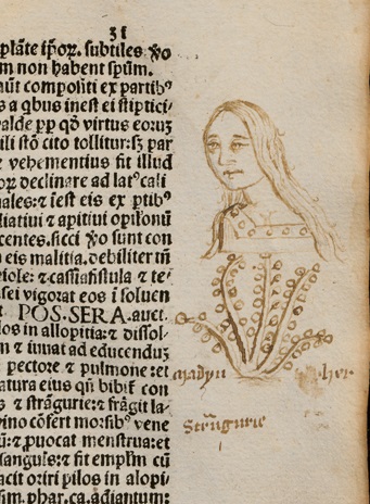 theULSpecColl's tweet photo. Some excellent marginal #doodles (f. 31r) in this printed herbal, compiled in the C14 by the Italian #medical writer Matthaeus Silvaticus &amp; printed in #Venice in 1499. Turn the pages at your leisure @CamDigLib https://t.co/9zWj09FsV7 #marginalia #incunabula https://t.co/4ATy9rKVrI