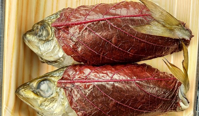 魚やイカは釣れませんが、地元の方に教えてもらったアジ寿司を買ってみました！
すごく美味しかったので、今度アジが釣れたら真似してみようと思います☺️