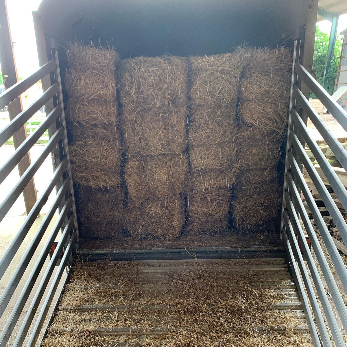 CattowsFarm's tweet photo. Today we donated enough hay to help our friends at Twycross Zoo feed their hay eating animals for the next two months. 😃🦍🦓🦧🐅🦏🐆🦒 https://t.co/TDcEeEKiDb