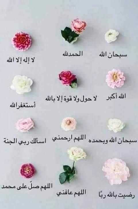 6aahia tweet media
