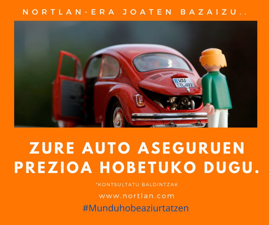 Eskatu aurrekontua konpromisorik gabe!!
nortlan.com/eu/aseguru-eti…