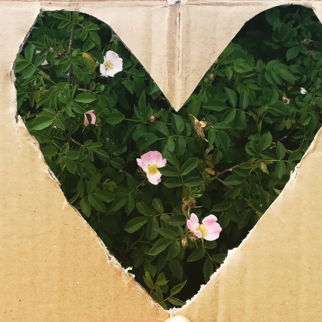 MermaidSalop's tweet photo. #30dayswild day 9!
On our walk, I took my hi-tech, fully recyclable "I 💚 Shropshire" lens.
These are my results.
#landlockedmermaid #cardboardframe #i💚Shropshire #wildlifetrust https://t.co/0zbGAkWS8h