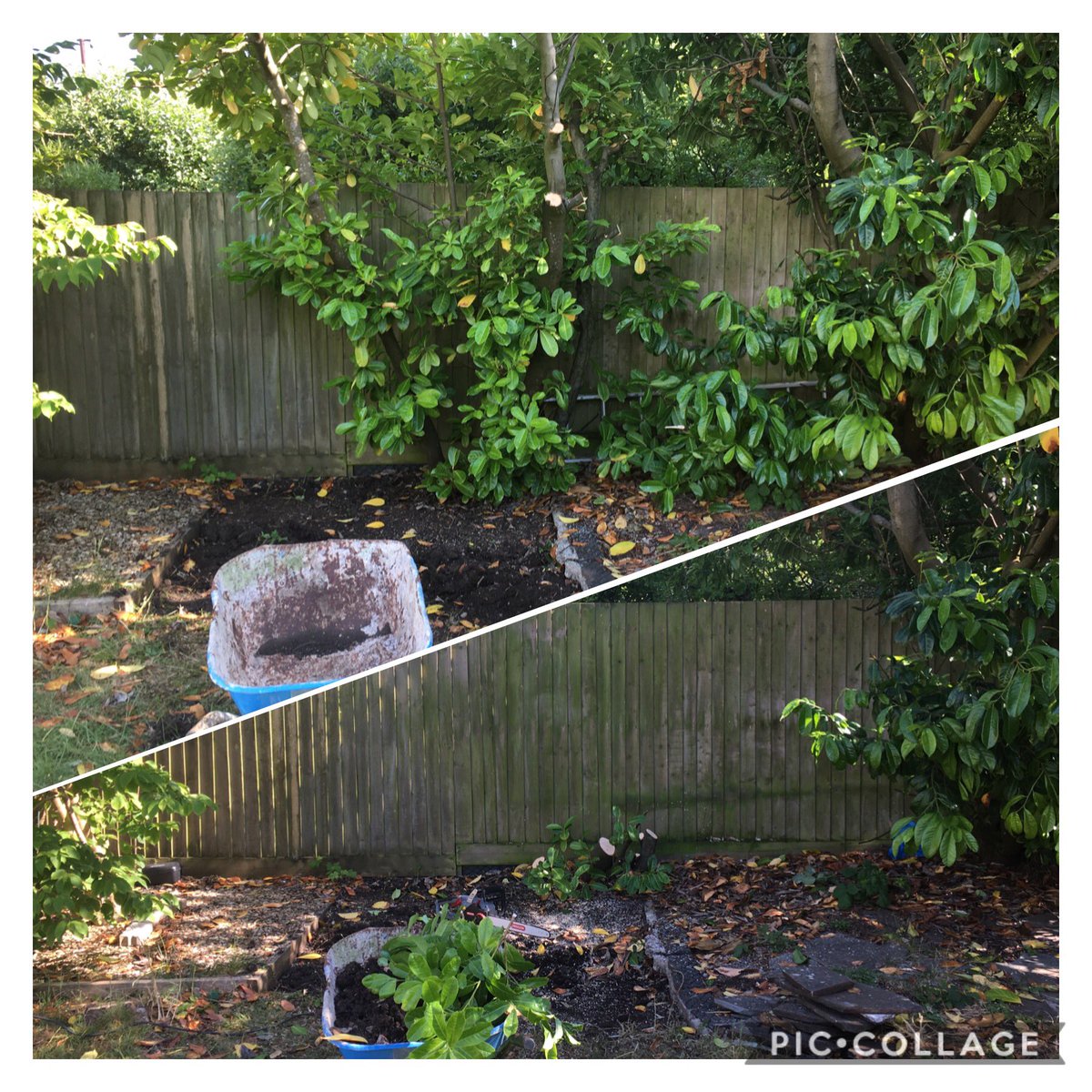 lucasandcruz's tweet photo. Tree removal and ground prep ready for concrete base #BigGav #LittleJeff 🙈😂 https://t.co/71Zx0jw5Oc