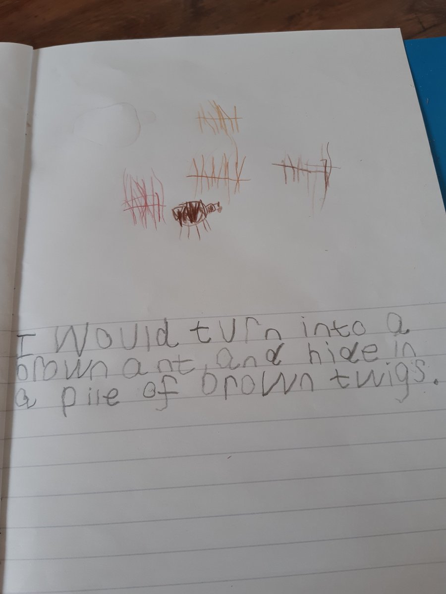 BeccaSteele84's tweet photo. @SHCPChorley Finn would be an ant 🐜🐜 https://t.co/x2SO7hnJ2S