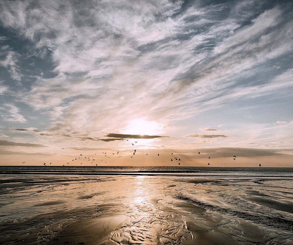 If you're looking for things to do in Woolacombe, you'll soon see that there's absolutely nothing here at all...

Especially if you're a beach-lover, foodie, walker, surfer, explorer, or dog-owner - it's definitely not for you!

Discover why 😏 > bit.ly/why-you-should…