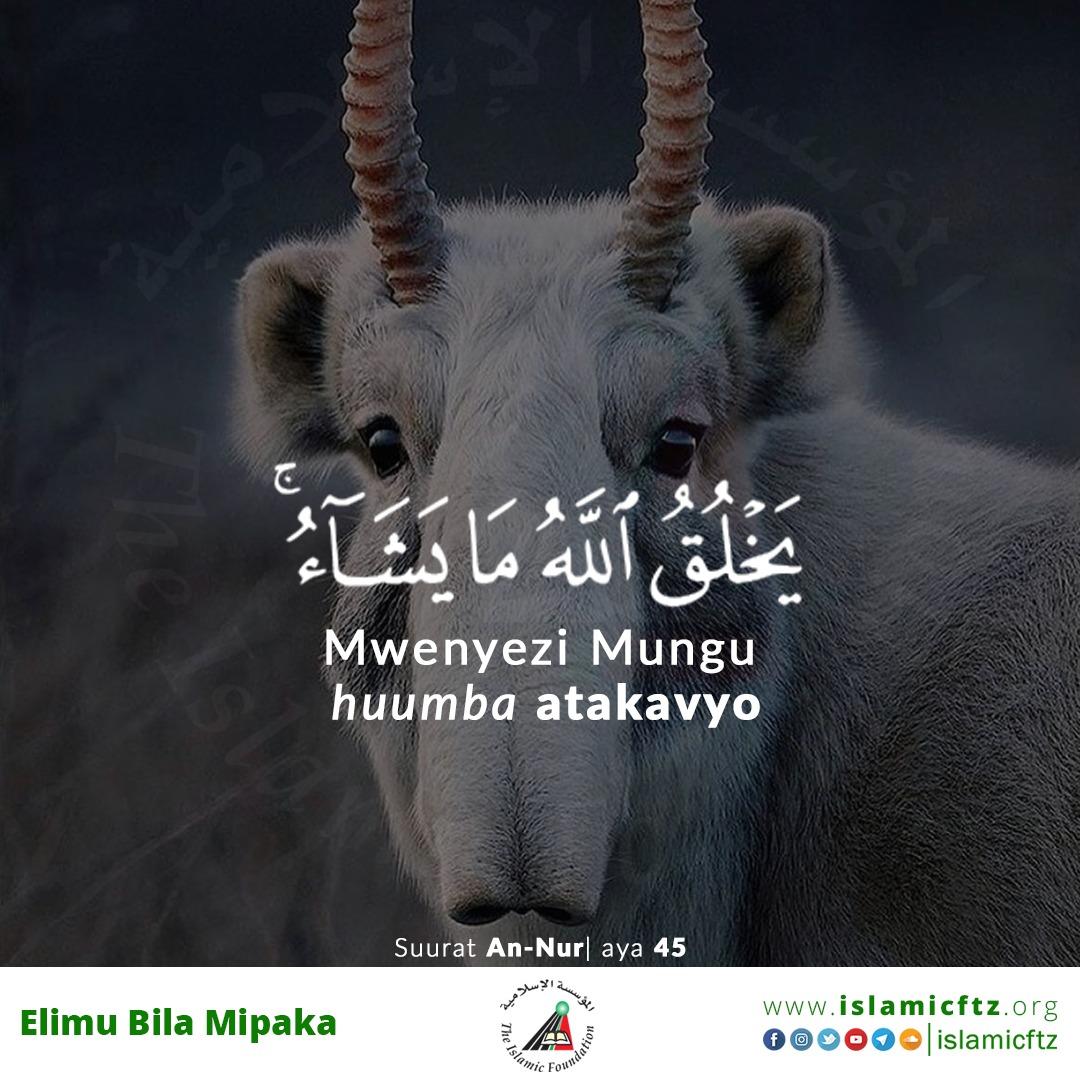 islamicftz's tweet photo. Mwenyezimungu mbora wa uumbaji huumbab kwa namna atakavyo.
ALLAHU AKBAR. 

#quran #umbaji #viumbe #mnyama #allah #muumba #muumbaji #ayazaquran #quranaya #ujumbewaquran #Islam #loveislam #creation #lovequran #naipendaquran #mafundisho #ukumbusho #uislamu #dini #swahil #Islamicftz https://t.co/NUKfsrJREB