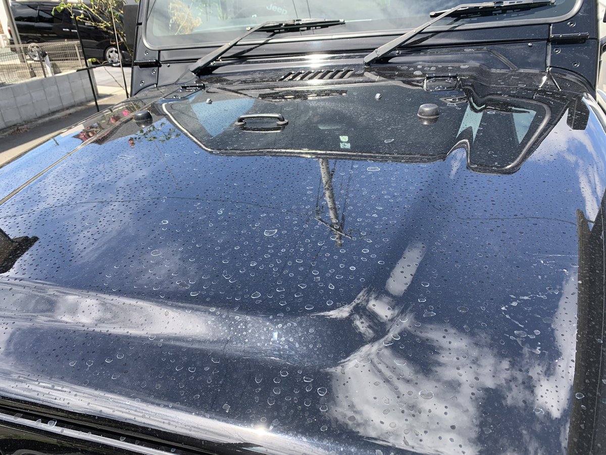 Zen Front Cp9a Twitter