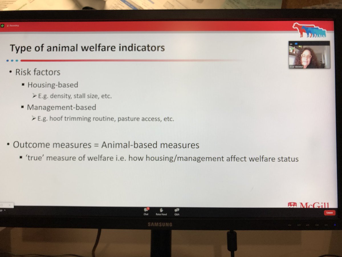 ICAR/IDF webinar on "Animal-based indicators to promote welfare in dairy cows: exploring the potential for harmonization" with <a href="/CowLifeMcGill/">CowLife McGill</a>