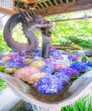 Tradition Meets Summer Blooms As Shrines Arrange Beautiful Floating Flower Displays Pics Video Soranews24 Japan News