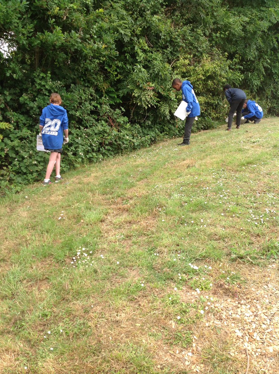 GBS_Elm_Class's tweet photo. We're going on a Snail Hunt! #gbs4science https://t.co/UBON5dkdMu