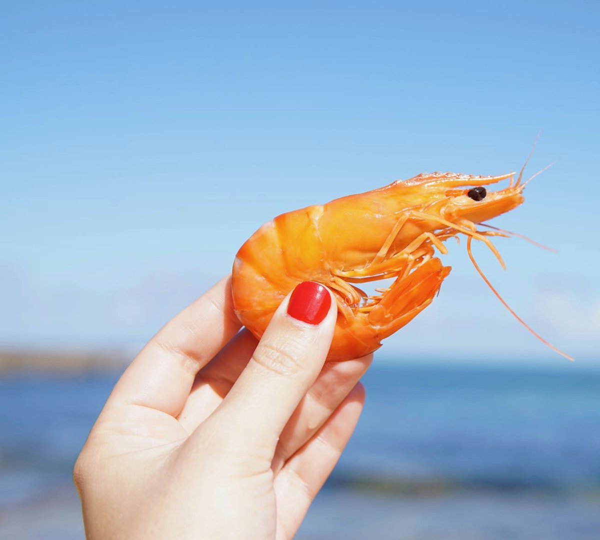 Une borne automatique de désinfection des mains, du plastique biodégradable à base de carapaces de crevettes, un #Masque en cellulose biodégradable, une bouilloire à vie. Écoutez Le Gecko et la Fourmi !  
#COVID19france
#ecologie
<a href="/cleanitud/">Cleanitud'</a>
#plastique

📻  bit.ly/2APs1qi