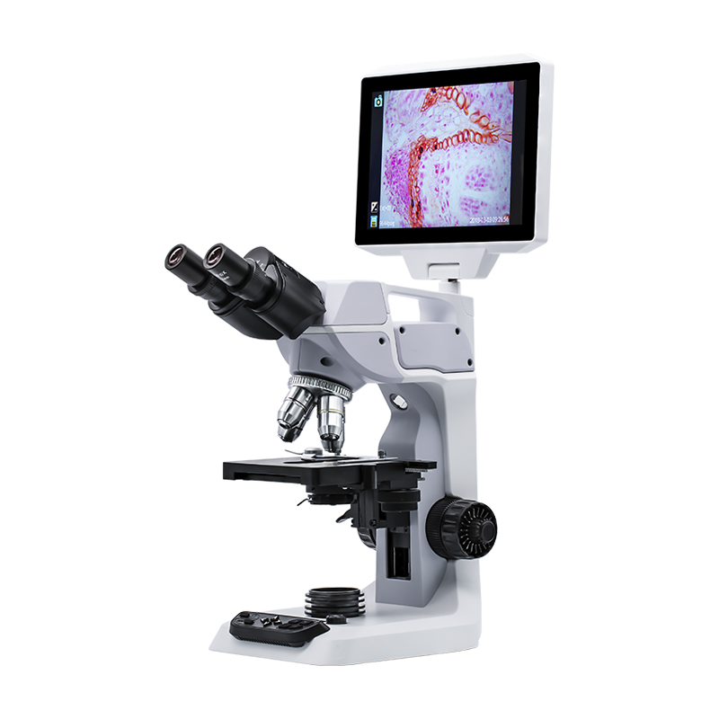 acoxmicroscope's tweet image. ACOX takes you to the fantastic world of lcd microscopes. acoxmicroscope.com/as2100-series-… #lcdmicroscopes #stereoscopicmicroscope #lightmicroscopes