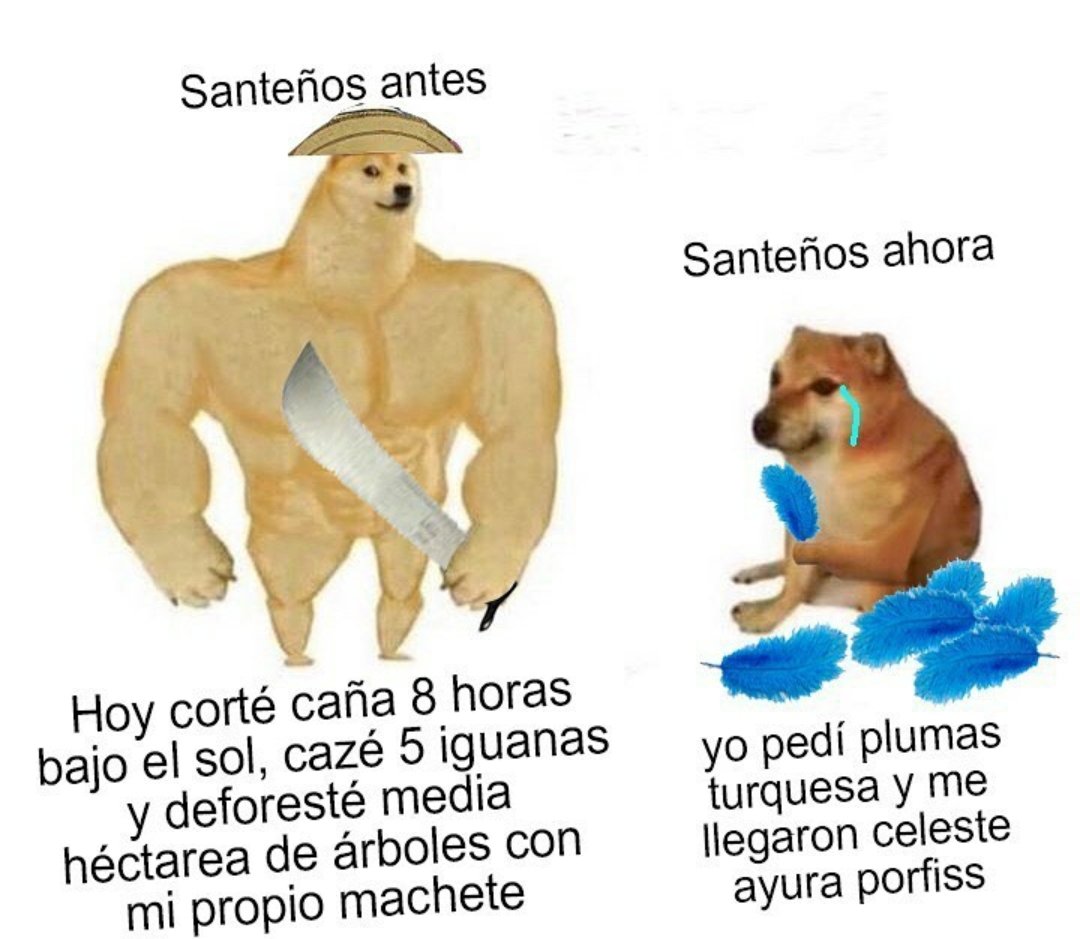 Malditos JAJAJJAJAJAJAAJAJAJAJAJJA