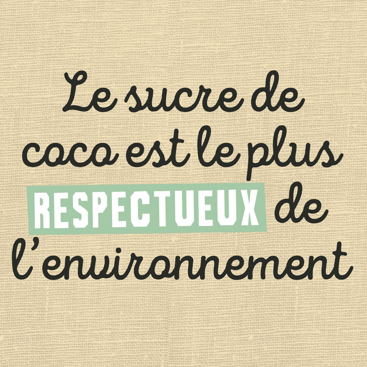 AutourduRiz's tweet photo. Contrairement à la canne à sucre, le cocotier qui pousse sous les tropiques est économe en eau : il se nourrit de la pluie du ciel !💧🥥Par ailleurs c’est une ressource naturelle durable : un cocotier a la même durée de vie qu’un humain ! Il produit des fruits pendant 40 ans. 🌴 https://t.co/Btlm2N0Zy0