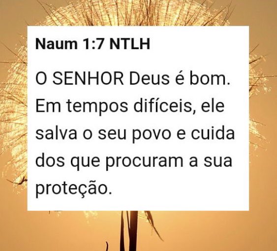 monicabulhoes's tweet photo. Bom dia pessoas lindas!!!
Sempre devemos nos refugiar nos braços de Deus, através da oração!
Ele sempre será o nosso melhor e maior consolo!
#refugio #fé #confiança #esperança #oração #pet #pets #mb100df https://t.co/OlQgn8M9Jt