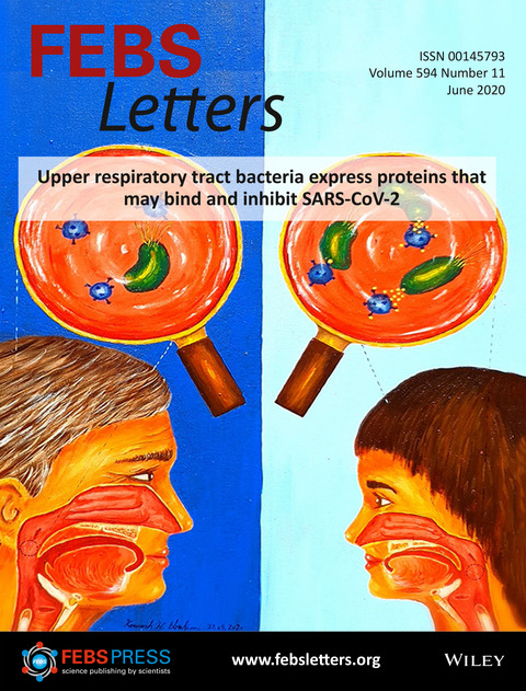 FEBS_Letters's tweet photo. New issue online! →https://t.co/p6jSXvk6bZ #Coronavirus #COVID #COVID19 #SARS #SARSCoV2 #SpikeGlycoprotein #ACE2 #TMPRSS2 #pandemic #ScientistsForum #EuropeanResearchCouncil #metabolism #exosomes #proteasome #ubiquitin #ubiquitinligase #DNApolymerase #DNArepair #serotonin https://t.co/YHRY9cSjYn