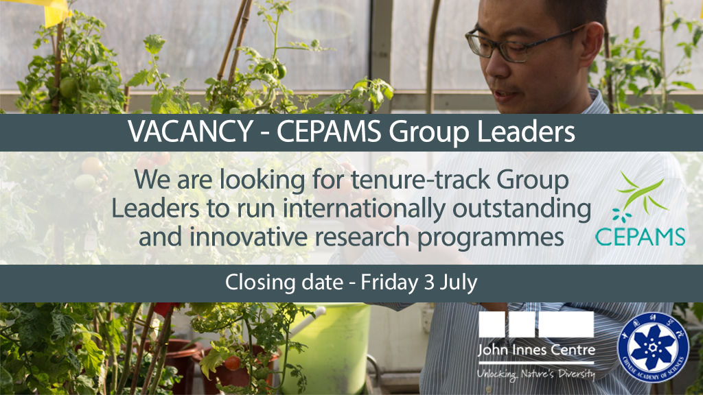 CEPAMS GROUP LEADERS - We are looking for tenure-track Group Leaders to run internationally outstanding and innovative research programmes. Based either in Beijing or Shanghai. Closes Friday 3 July okt.to/W23ZNh