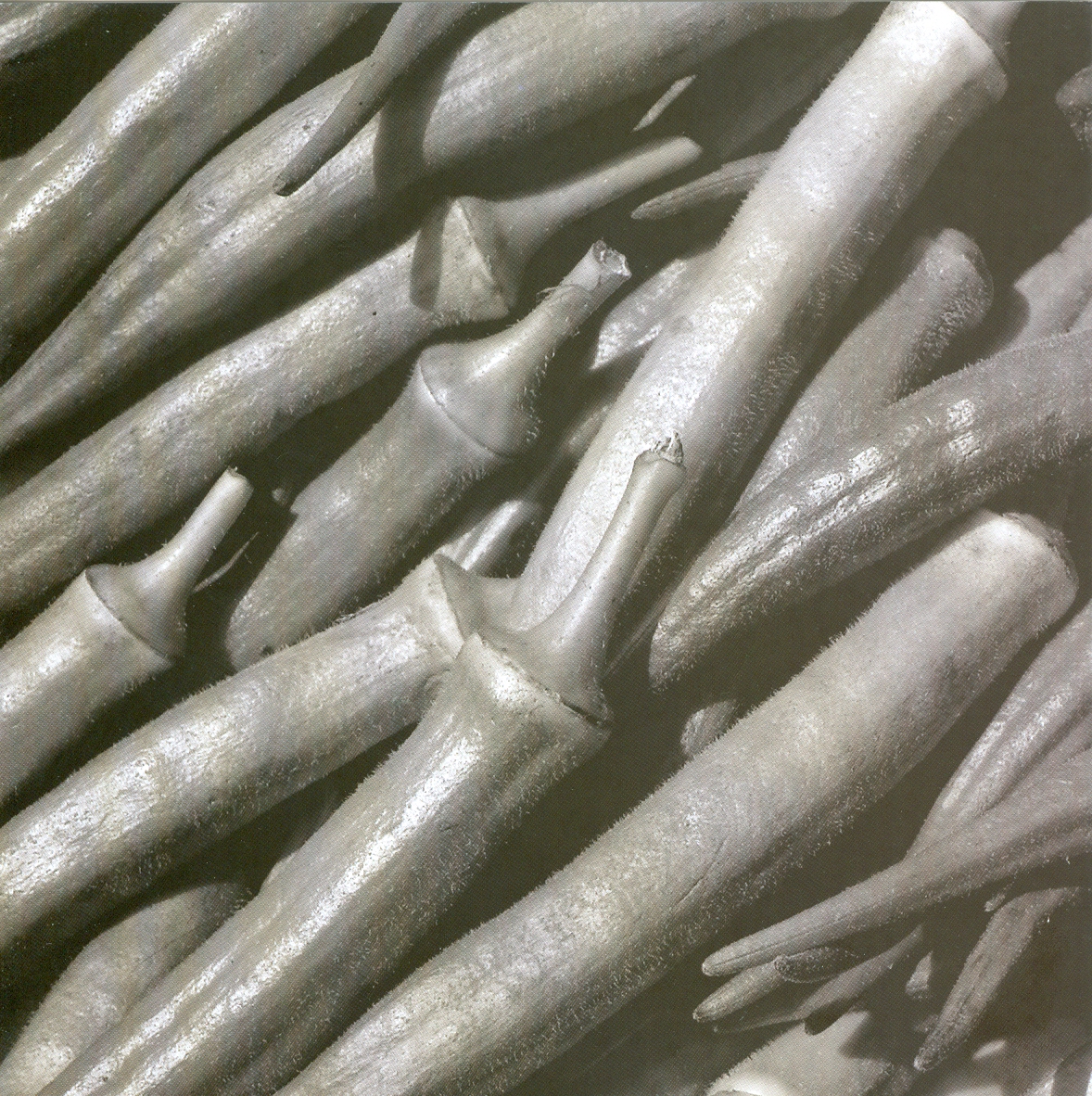 Salvador (BA), 2011. Esta imagem é uma das 17 fotos da coleção de cartões O Brasil &amp; a África, de Rafael Sanzio dos Anjos. A coleção completa esta à venda no site: rafaelsanziodosanjos.com.br/images/geostor…. 
Detalhe de Quiabo na Feira de São Joaquim Investimento: R 60,00.