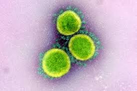 radioislam's tweet photo. COVID-19 Deaths Spike to 1,162, Infections Jump to 52,991. #Day75ofLockdown #StaySafe  #StayAtHomeSA #Level3Lockdown @PresidencyZA @CyrilRamaphosa @DrZweliMkhize @GautengHealth 

https://t.co/G4gCPTscMD https://t.co/mQReOO2XWw