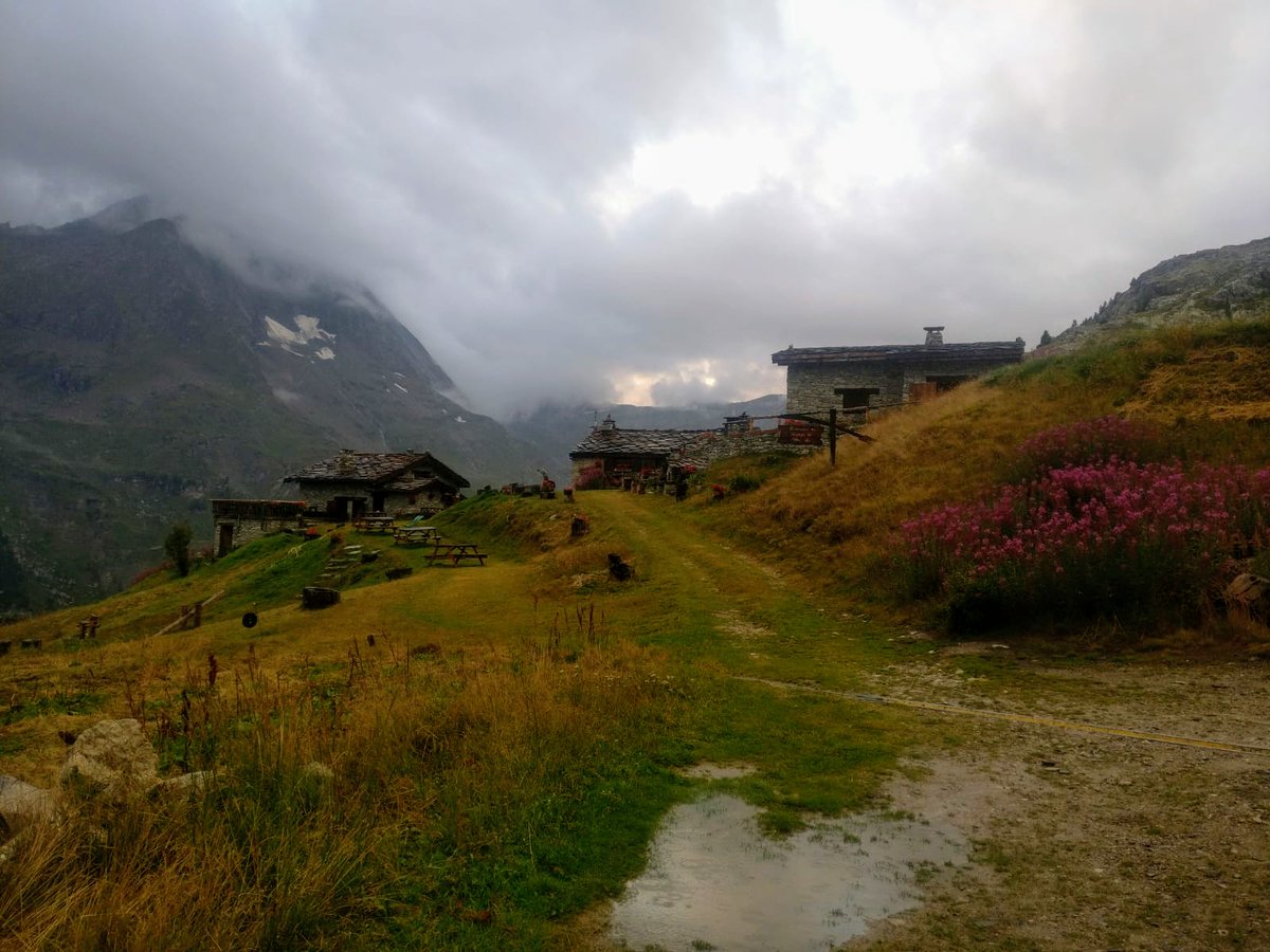 #mylifeinpictures, day 2/7, no people, no descriptions. Challenge someone every day. I was challenged by 
<a href="/aanazgo/">Angie Añazgo</a> I challenge <a href="/GuillaumeBoudin/">Guillaume Boudin</a>