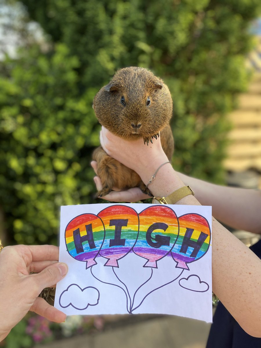 HaddonPigs's tweet photo. Do my cheeks look big in this? ✅ @Haddon_Primary https://t.co/dIQeQUA5Xi