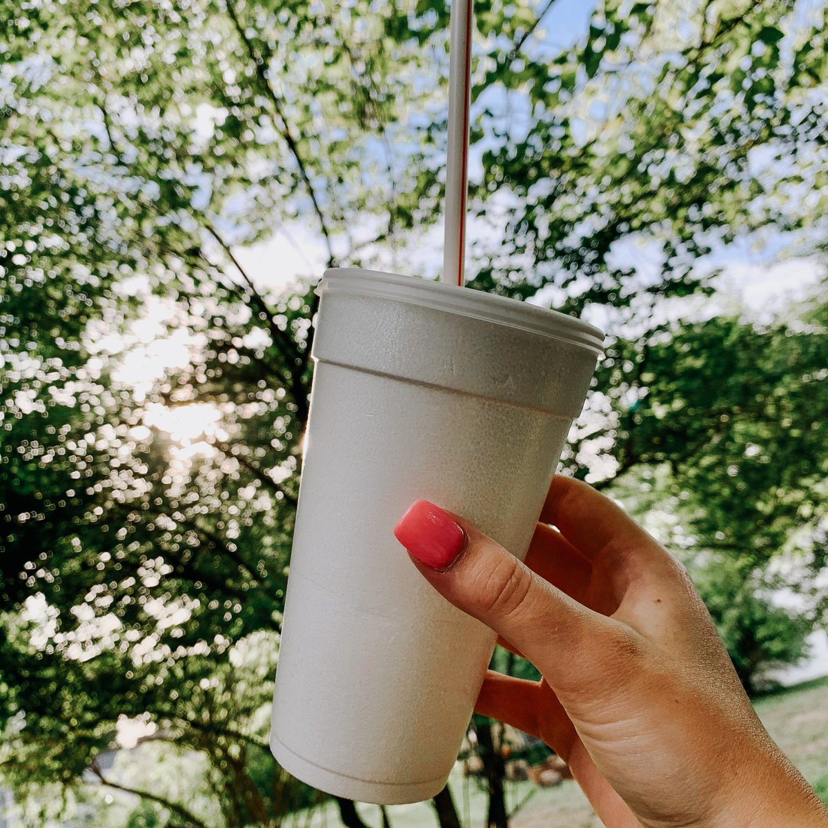 thrivevalpo's tweet photo. it’s a perfect day for a shake 🥤 open until 4 p.m. today! https://t.co/EePoo6SDQa