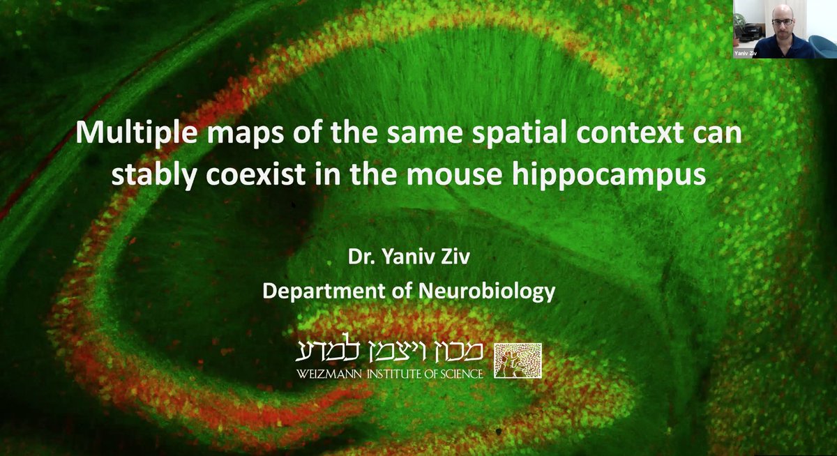 Inscopix's tweet photo. And that's a wrap on our European webinar! Thanks to everyone that joined, and many thanks to Dr. Yaniv Ziv @WeizmannScience & Dr. Jonathan Whitlock @NTNU for their amazing talks.๐
If you missed it, the webinar recording is now available to watch here โก๏ธ https://t.co/efSwspV7Rg https://t.co/Jn1RqGVE81
