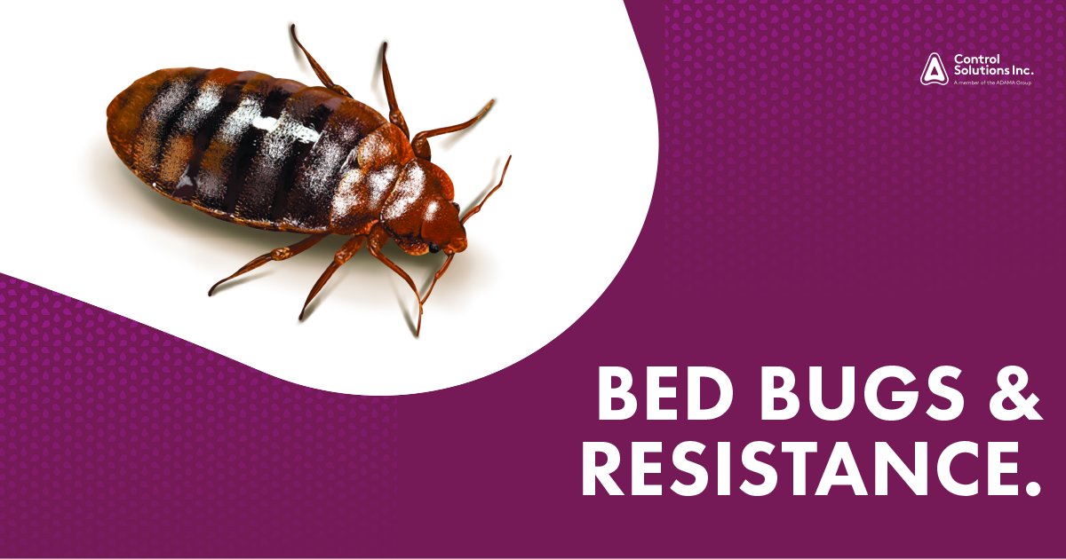 csi_pest's tweet photo. See How Bed Bugs Develop Resistance... #BedBugWeek #BBAW
Click the link to LEARN MORE >> https://t.co/th6b0mkx4I https://t.co/ruedu9LGip