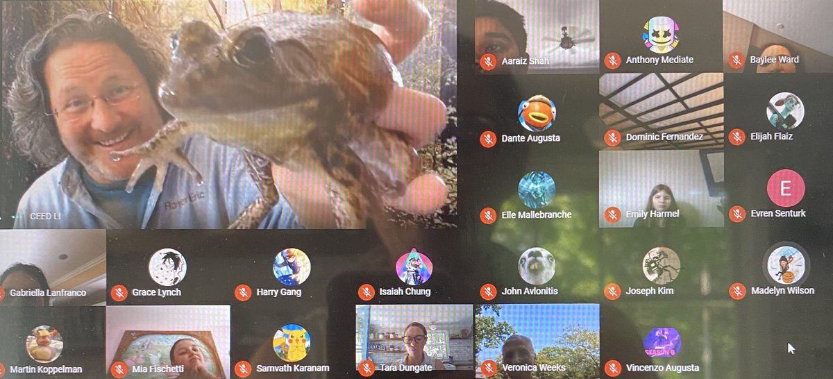 Wild4Class5_4's tweet photo. Virtual Field Trip Day! Thanks to Mr. Eric Powers from CEED for showing off some amazing animals and talking about classifications! It was WILD! @YC2N @Gagliardi_BW
#hpsdistancelearning
#hauppaugeschools
#ceed
#virtualfieldtrip https://t.co/9rNAuqryqG