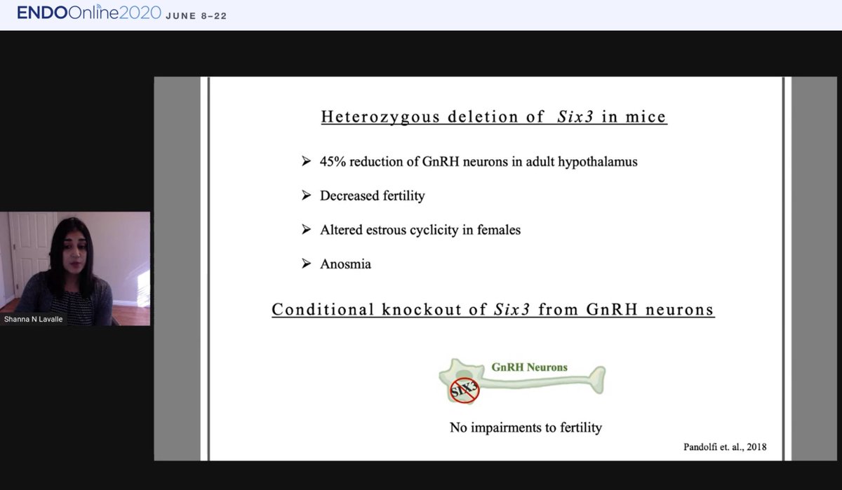 TheEndoSociety's tweet photo. Shanna Newton Lavalle, BS, is presenting her research, The Expression of the Homeodomain Transcription Factor #SIX3 within #Kisspeptin Neurons Is Necessary for #Reproduction in Mice. Share your questions on the #ENDOonline2020 conference platform: https://t.co/phAqTnqR97 https://t.co/qXWTu0ZPVr