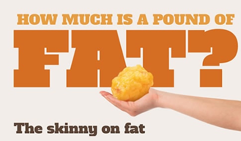 Infographics Archive on X: How Much Is A Pound Of Fat? The Skinny