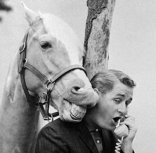 Dedicating time to sharing knowledge/resources to help dismantle racism and gatekeeping in the creative industries.

BIPOC artists and/or aspiring arts professionals, please get in touch if you have any questions about our work.

DMs are open.
📧: info [at] forwardmusicgroup .com