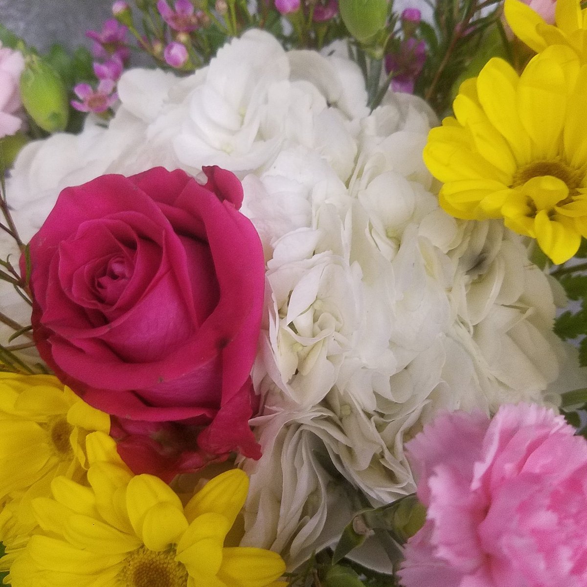 Your morning flowers from Market Flowers

MarketFlowersMpls.com
#flowers #marketflowers #farmersmarket #bouquet #weddingbouquet #minneapoliswedding #mnwedding #minnesotawedding #tuesdaymotivation #tuesdaymorning #floweroftheday #minneapolis #weddingflowers #tuesdayvibes